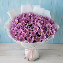 Букет цветов из:  Хризантемы #REPLACE_PRED# Перми