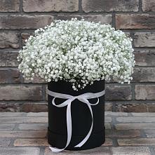 Цветочная композиция из Гипсофила в шляпной коробке в Перми